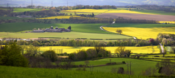 This landscape photograph captures the view of Palterton towards Sutton Scarsdale farm and hall on a sunny spring afternoon. The fields are dominated by vibrant yellow rapeseed, reflecting the peak of the agricultural season, while lush green pastures and rows of trees create contrasting shadows across the land. In the middle distance, Sutton Scarsdale Farm is clearly visible, and beyond that, the historic Sutton Scarsdale Hall sits prominently, surrounded by the rolling countryside. The presence of mature trees and the bright sunlight accentuate the rural harmony of the scene, showcasing the agricultural activity typical of the area in spring. The photograph is notable for its depiction of the rural landscape, the interplay between light and shadow, and the characteristic features of Sutton Scarsdale, making it a vivid example of both agriculture and natural beauty during the season.